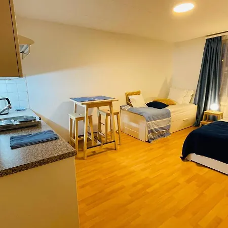 Apartment Cozy Zurich
